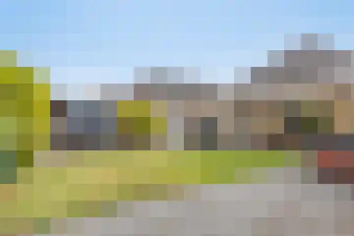 Dorsstok 22 Erica thumbnail 29