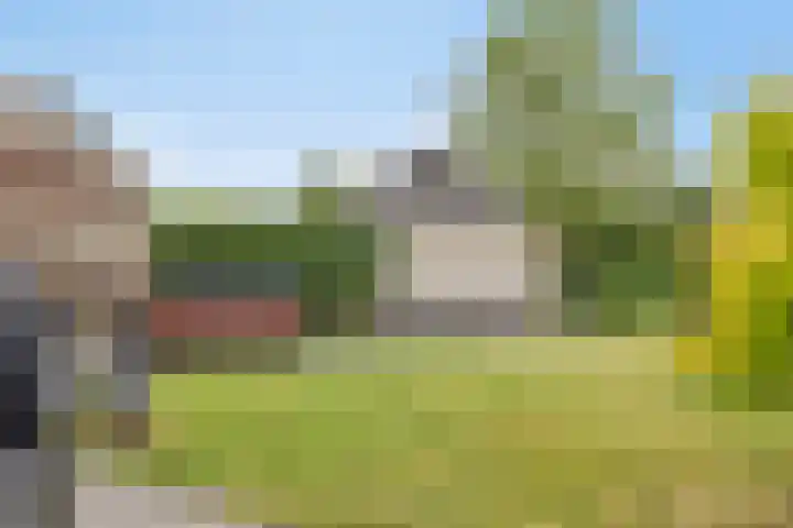 Dorsstok 22 Erica thumbnail 30
