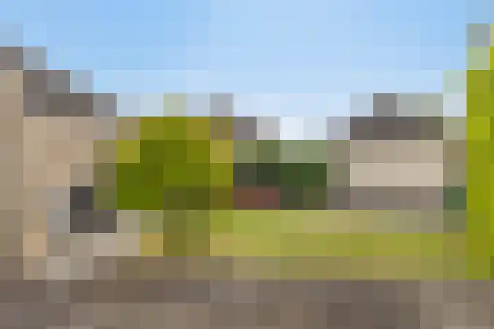Dorsstok 22 Erica thumbnail 31