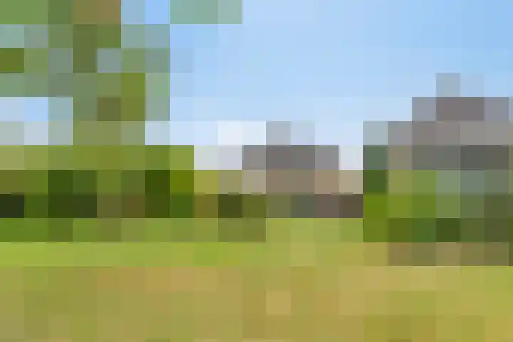 Dorsstok 22 Erica thumbnail 33