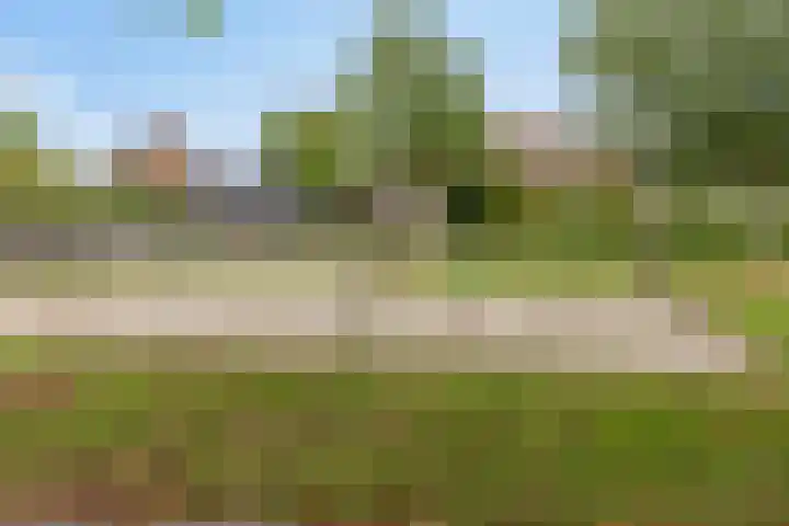 Dorsstok 22 Erica thumbnail 35