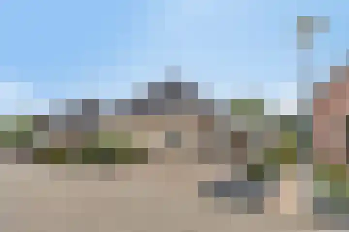 Dorsstok 22 Erica thumbnail 36