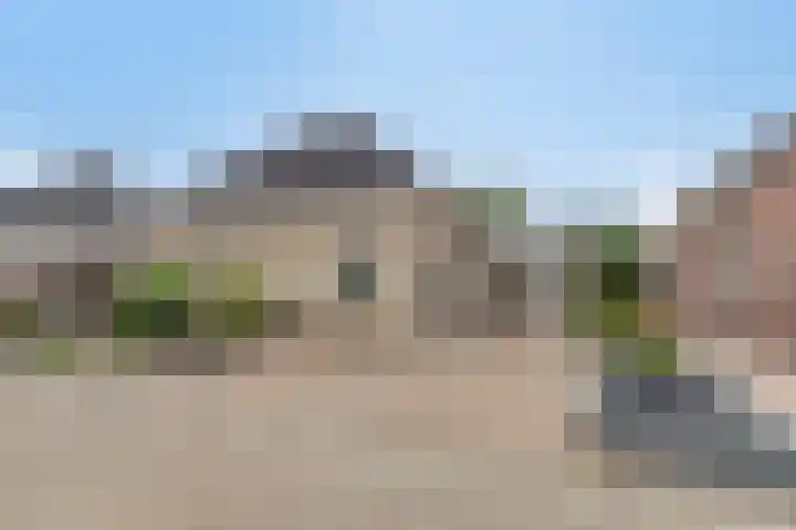 Dorsstok 22 Erica thumbnail 5