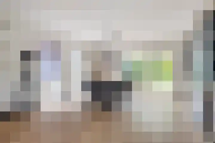 Dorsstok 22 Erica thumbnail 9