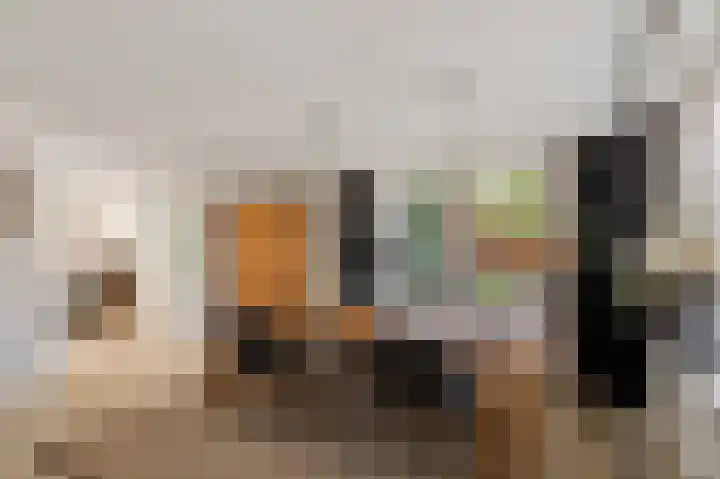 Dorsstok 28 Erica thumbnail 12