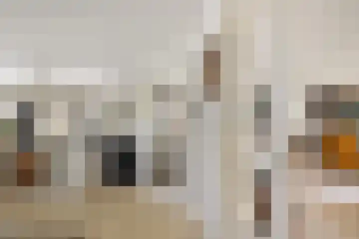 Dorsstok 28 Erica thumbnail 16