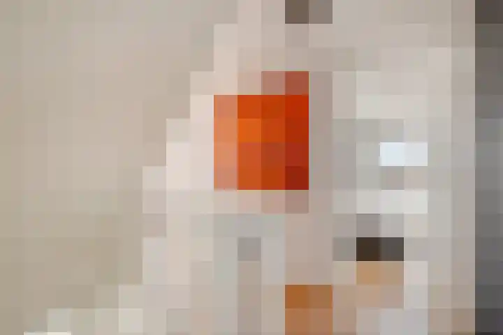 Dorsstok 28 Erica thumbnail 28