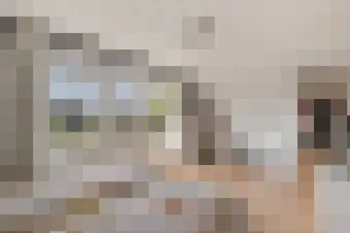 Dorsstok 28 Erica thumbnail 31