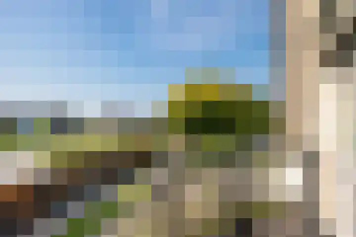 Dorsstok 28 Erica thumbnail 35