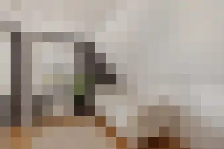 Dorsstok 28 Erica thumbnail 36