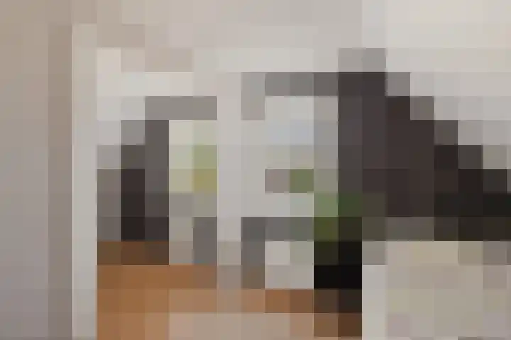 Dorsstok 28 Erica thumbnail 37