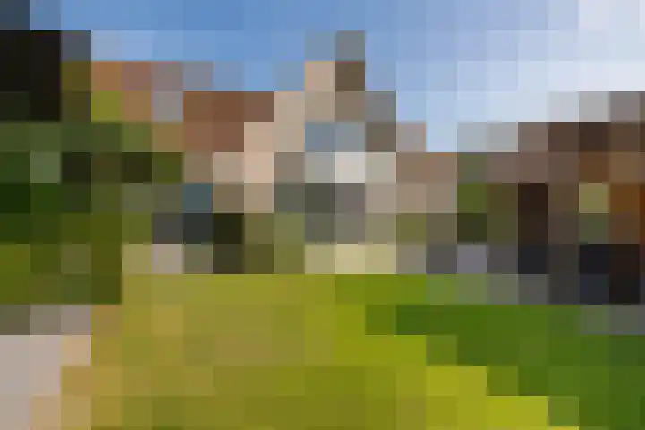 Dorsstok 28 Erica thumbnail 51