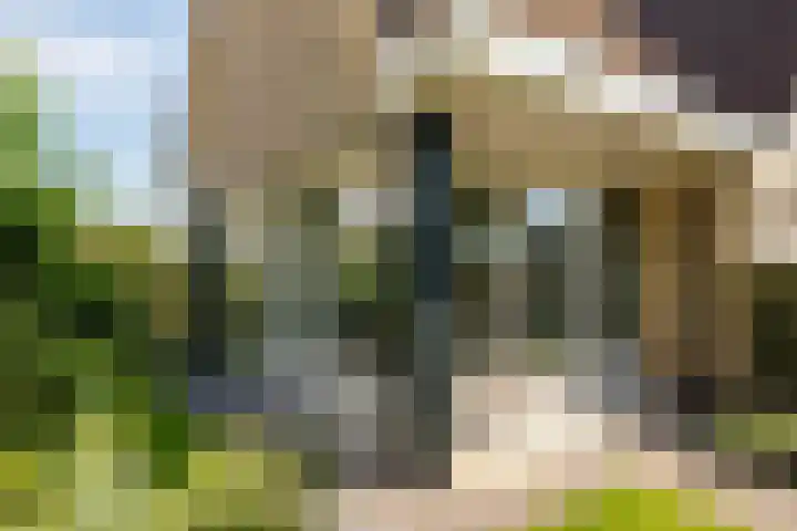 Dorsstok 28 Erica thumbnail 53