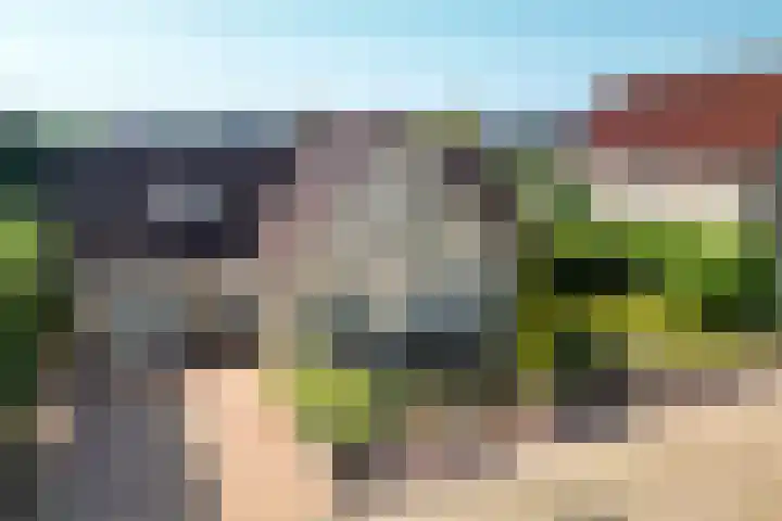 Dorsstok 28 Erica thumbnail 56