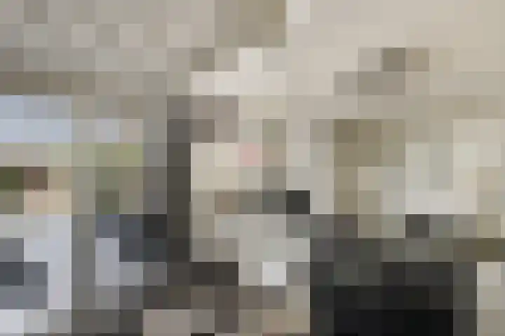 Dorsstok 28 Erica thumbnail 9