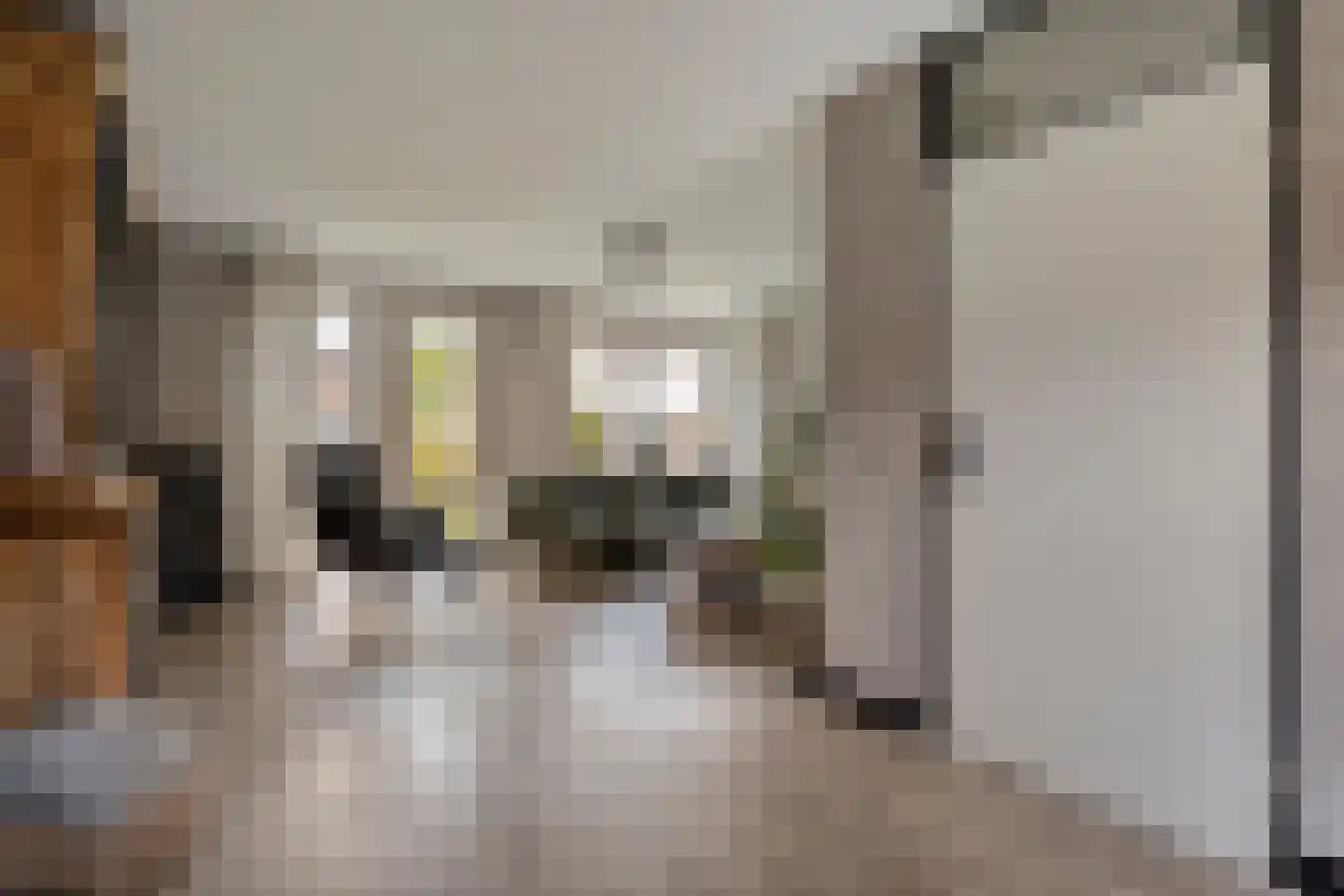 Dorsstok 9 Erica thumbnail 12
