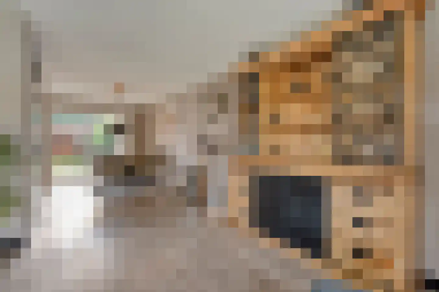 Dorsstok 9 Erica thumbnail 15