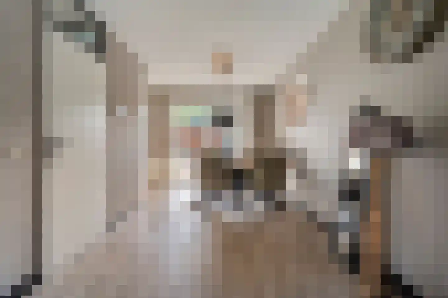 Dorsstok 9 Erica thumbnail 16