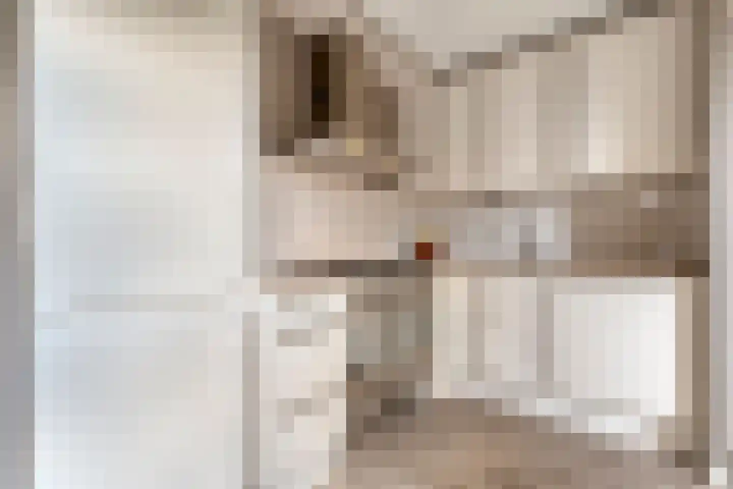 Dorsstok 9 Erica thumbnail 20