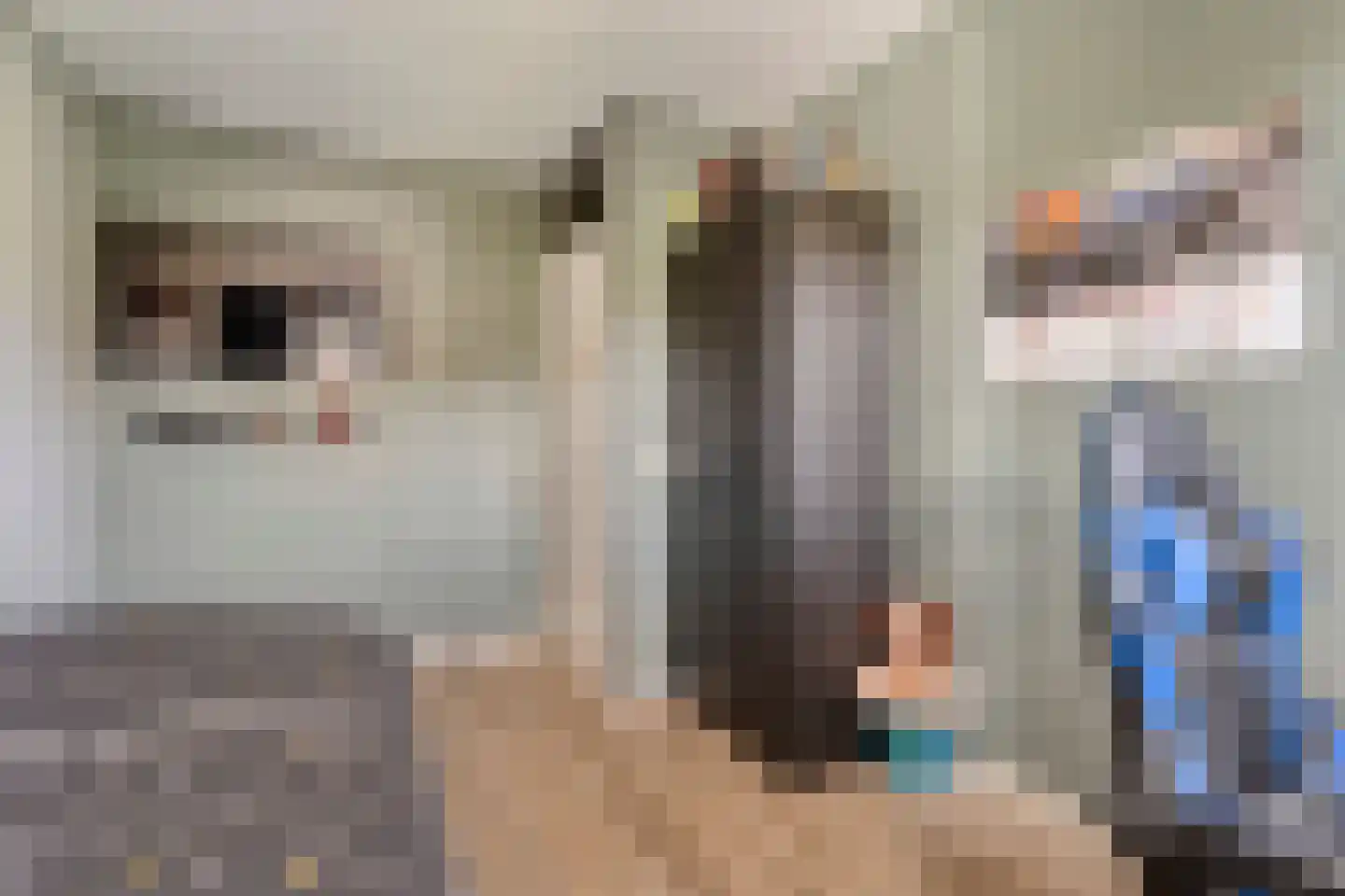 Dorsstok 9 Erica thumbnail 29