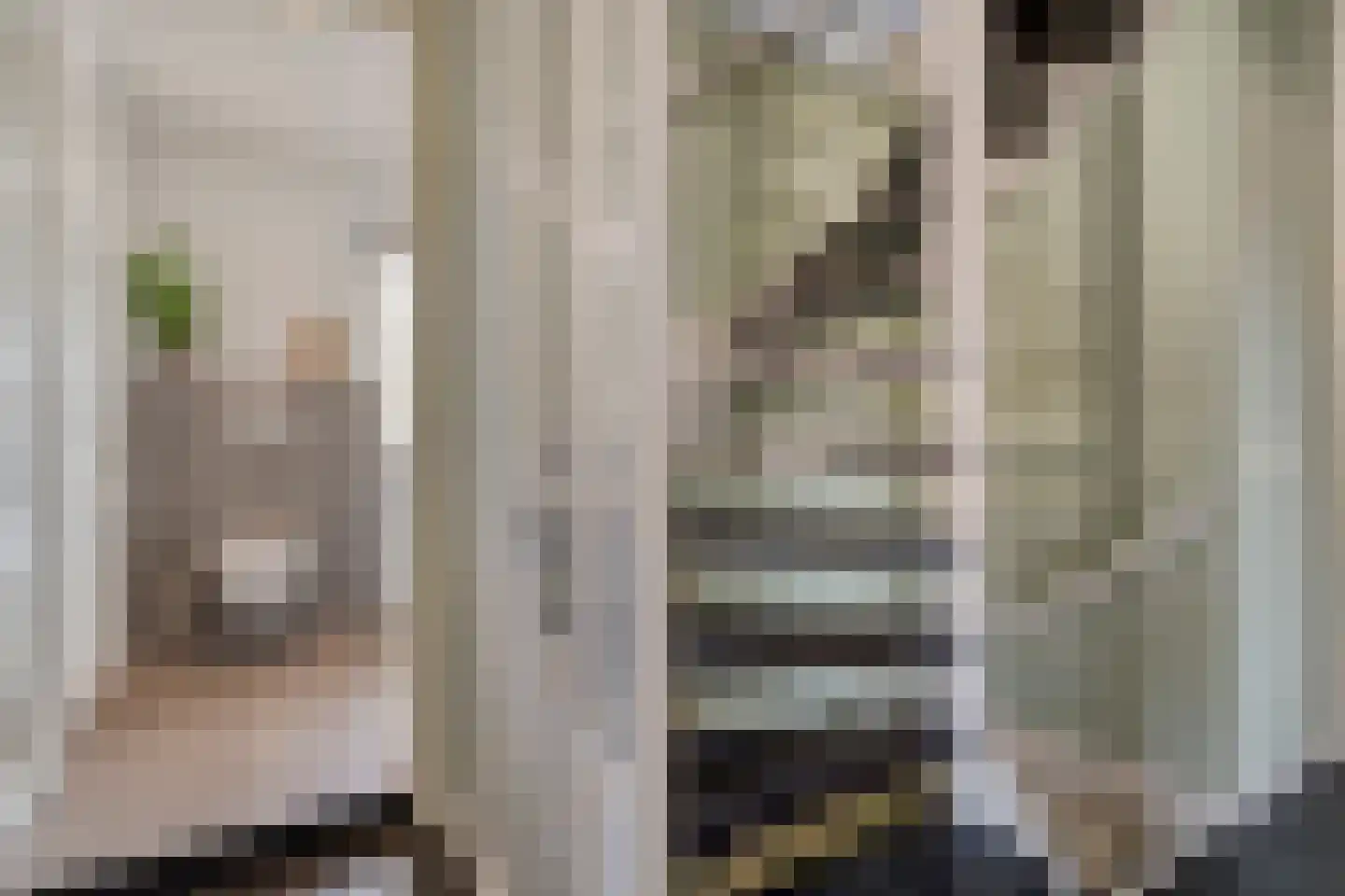 Dorsstok 9 Erica thumbnail 32