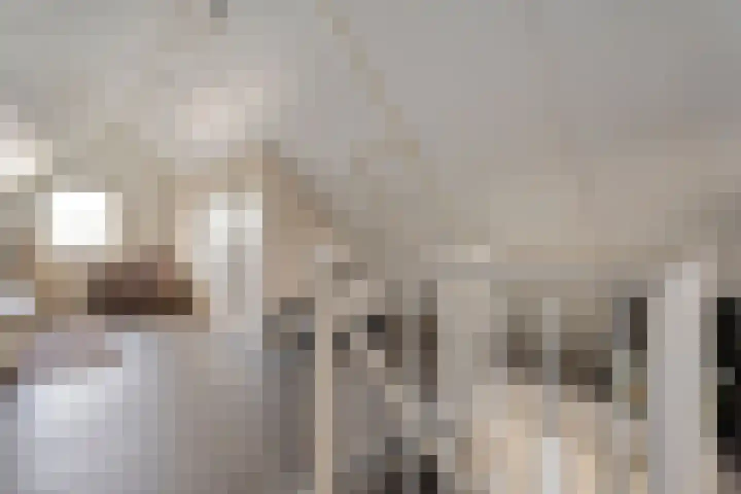 Dorsstok 9 Erica thumbnail 36