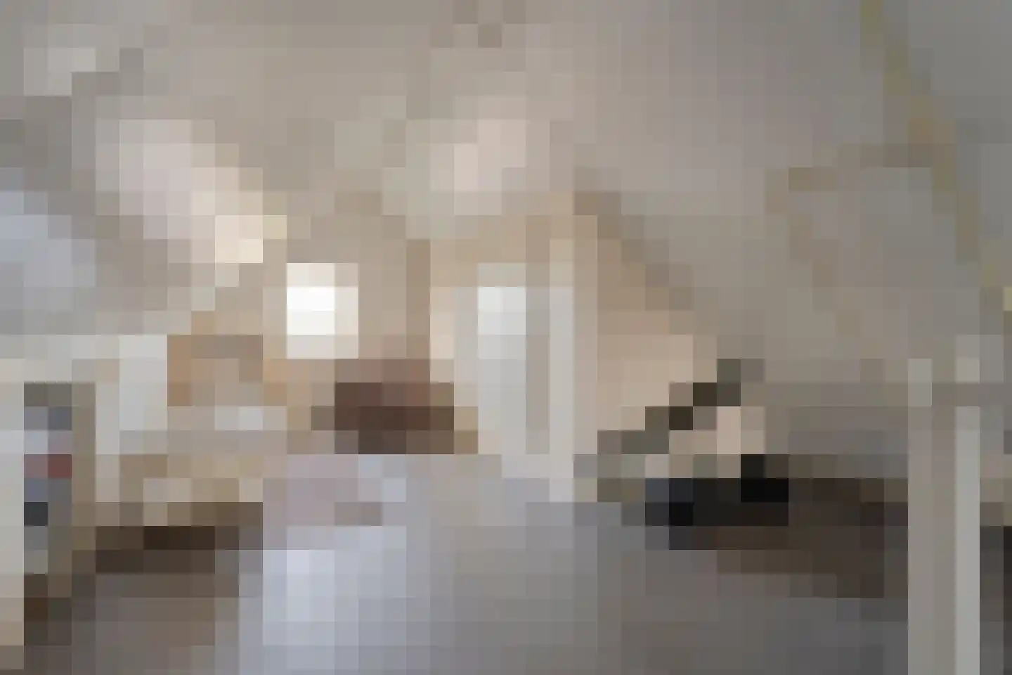 Dorsstok 9 Erica thumbnail 37