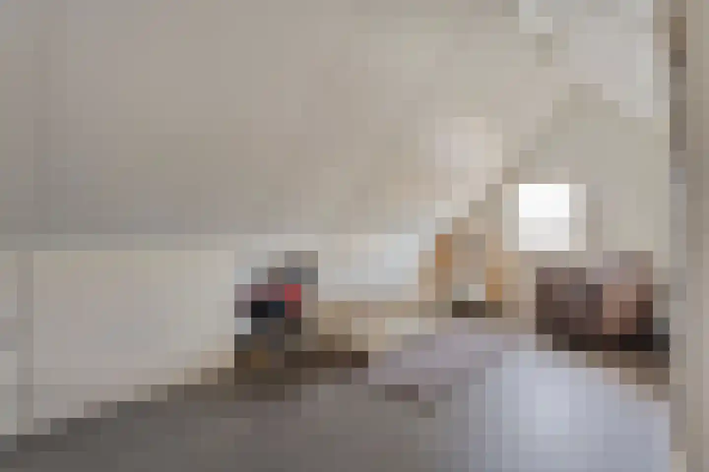 Dorsstok 9 Erica thumbnail 38