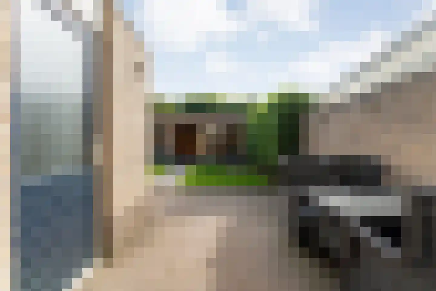 Dorsstok 9 Erica thumbnail 39
