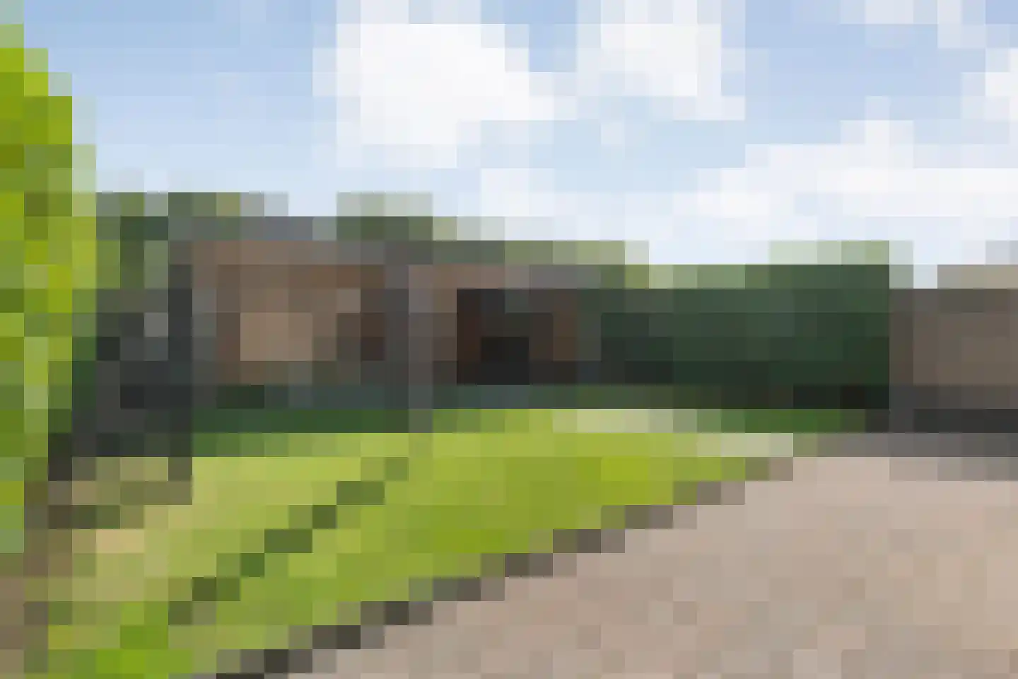 Dorsstok 9 Erica thumbnail 42