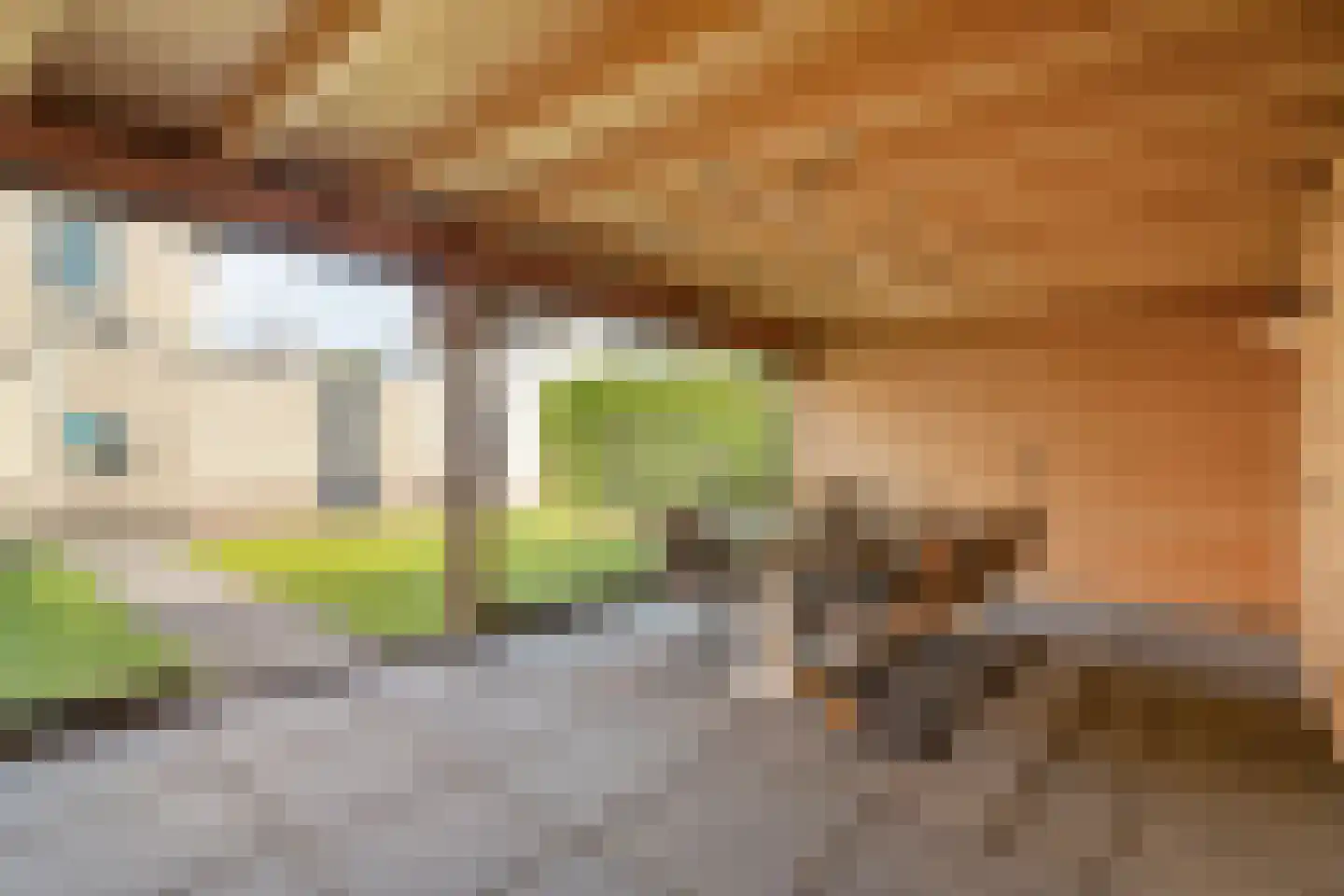 Dorsstok 9 Erica thumbnail 45