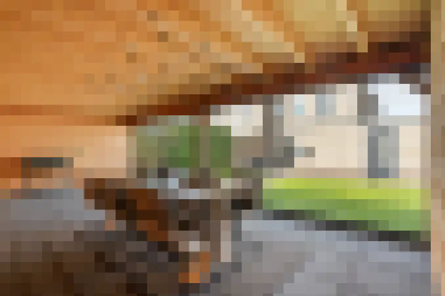 Dorsstok 9 Erica thumbnail 46