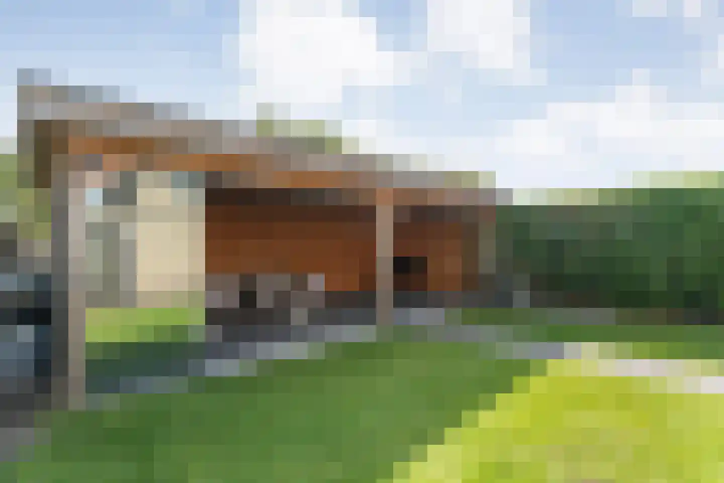Dorsstok 9 Erica thumbnail 47