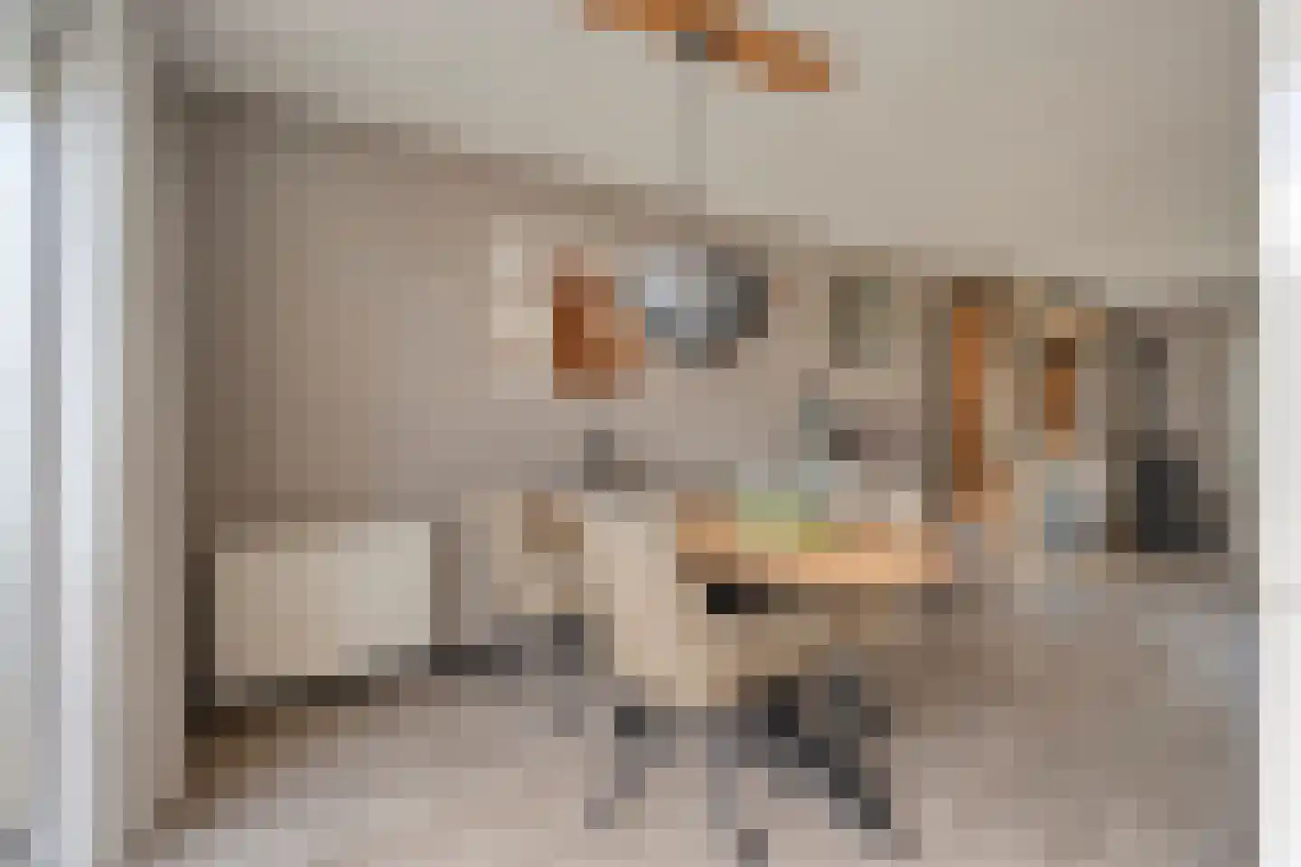 Dorsstok 9 Erica thumbnail 5