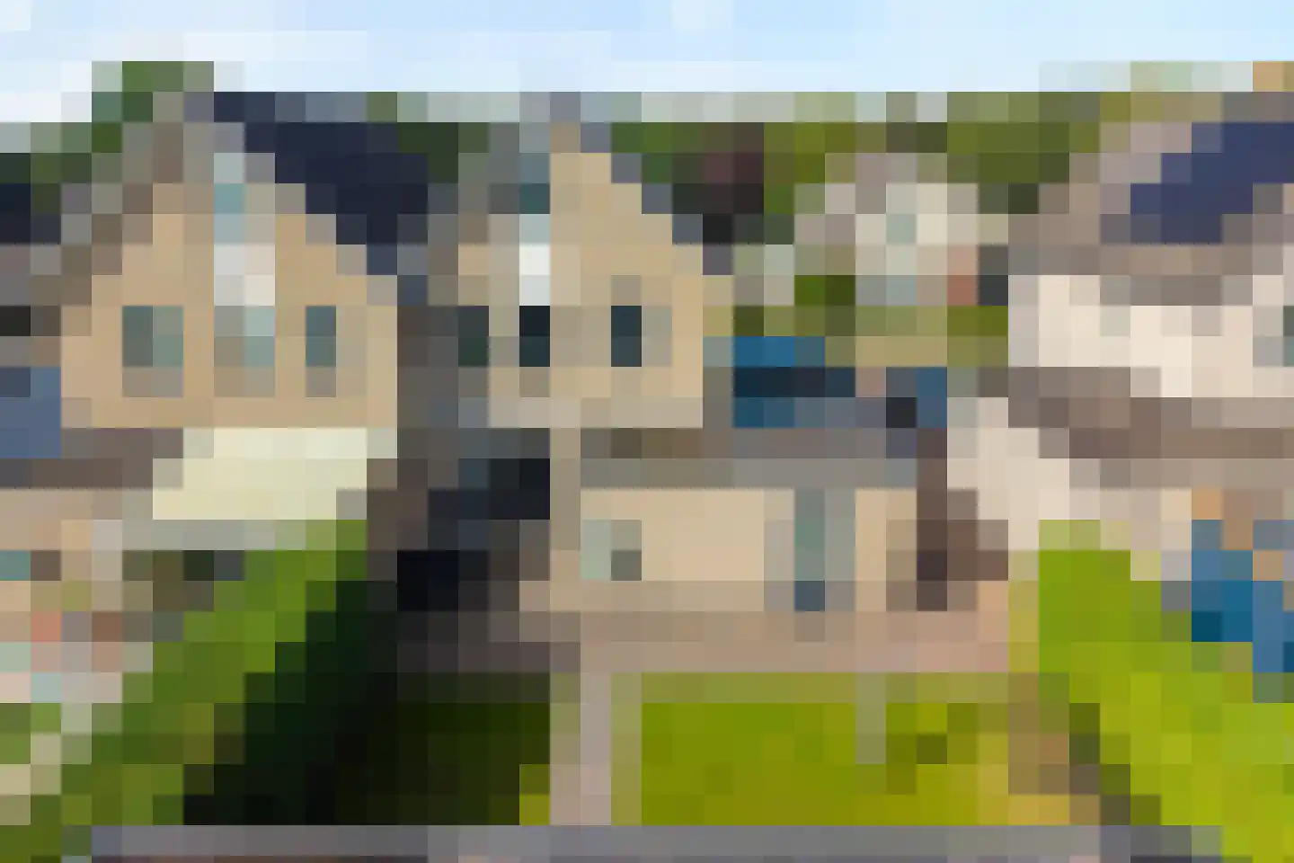 Dorsstok 9 Erica thumbnail 50