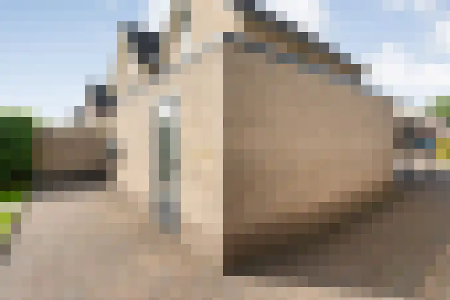 Dorsstok 9 Erica thumbnail 51