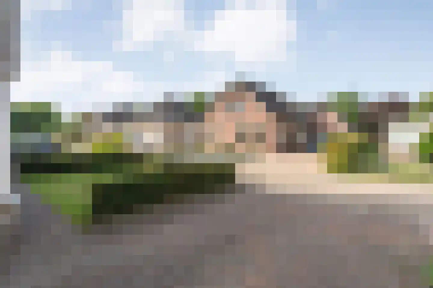 Dorsstok 9 Erica thumbnail 53