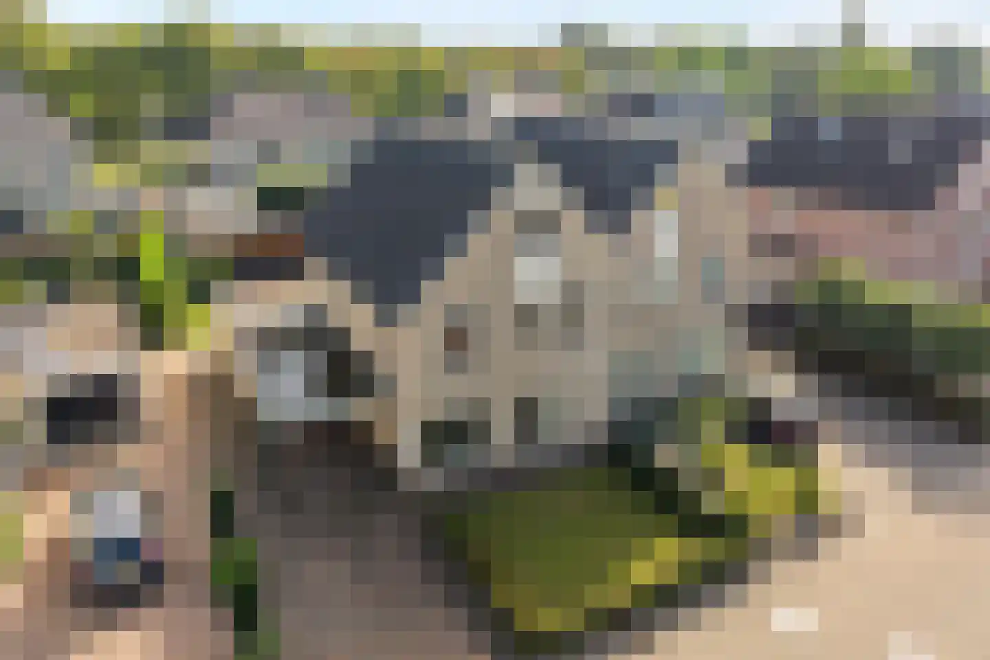 Dorsstok 9 Erica thumbnail 58