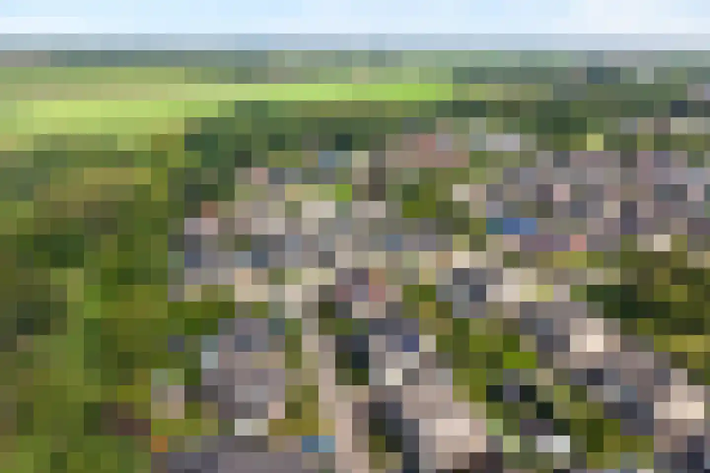 Dorsstok 9 Erica thumbnail 59