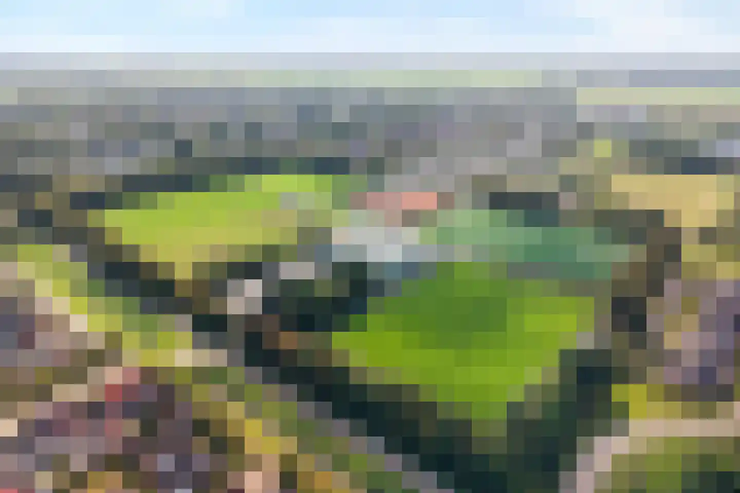 Dorsstok 9 Erica thumbnail 61