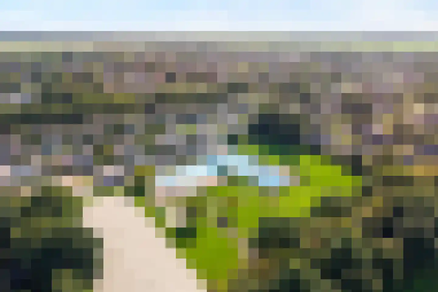 Dorsstok 9 Erica thumbnail 62