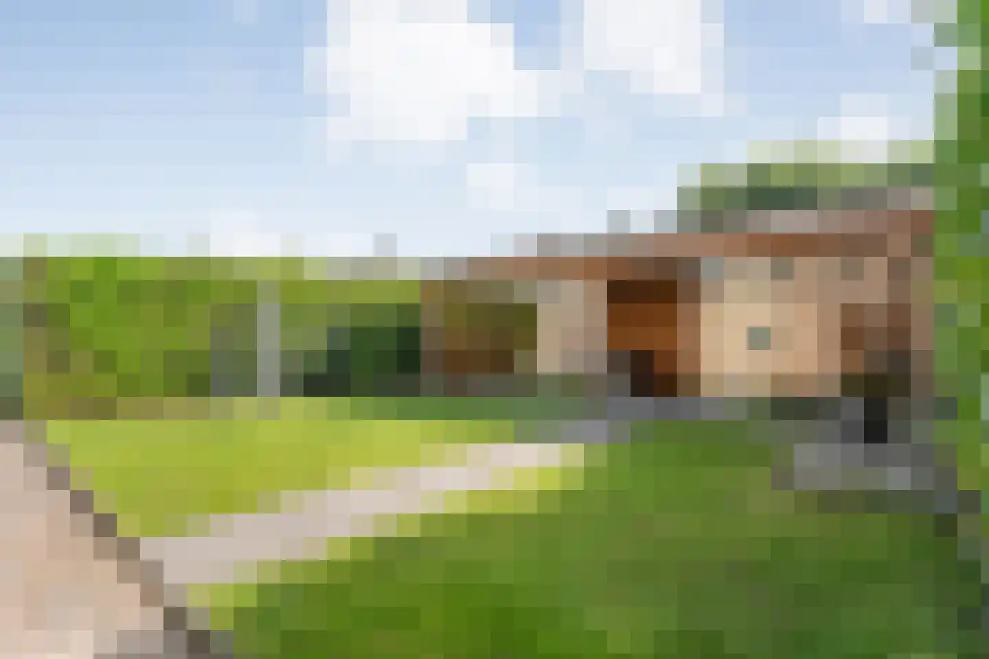 Dorsstok 9 Erica thumbnail 8