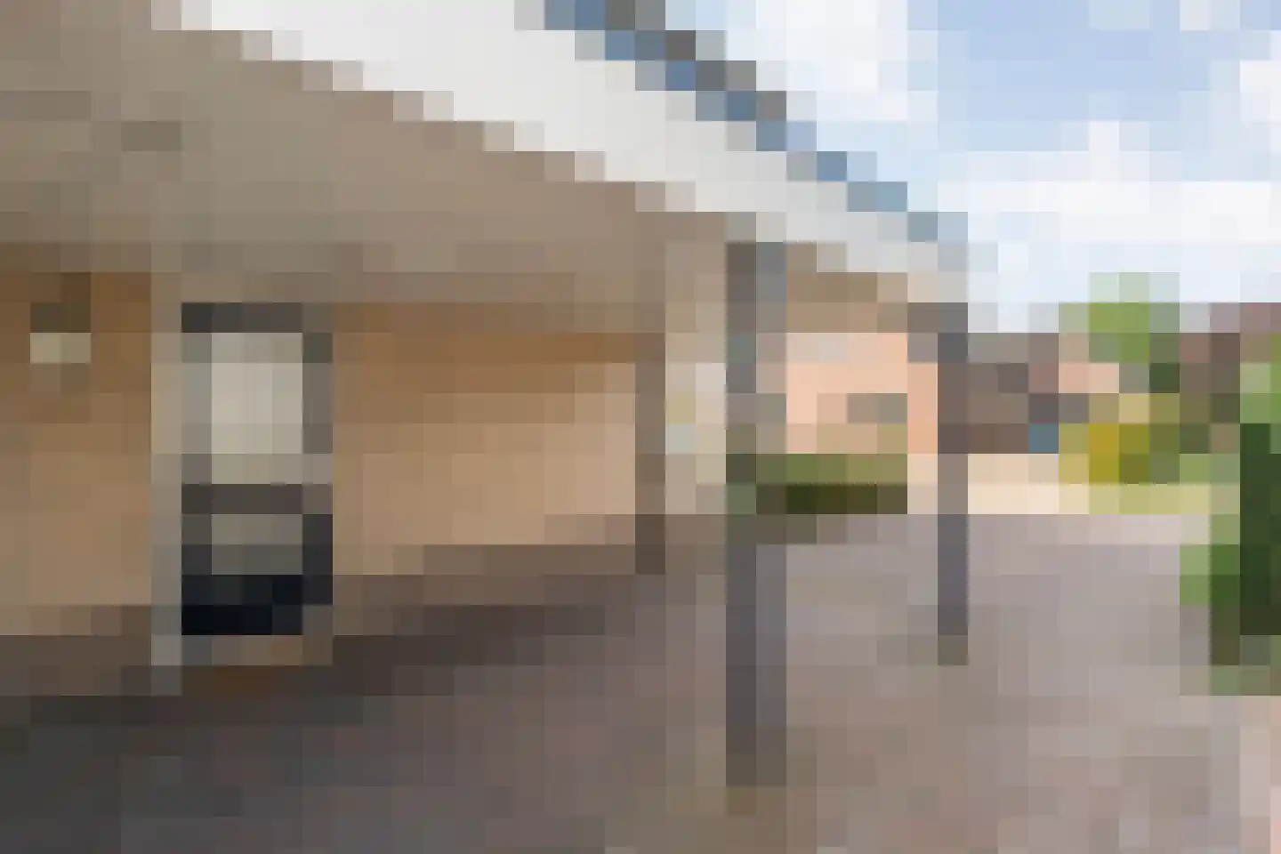 Dorsstok 9 Erica thumbnail 9