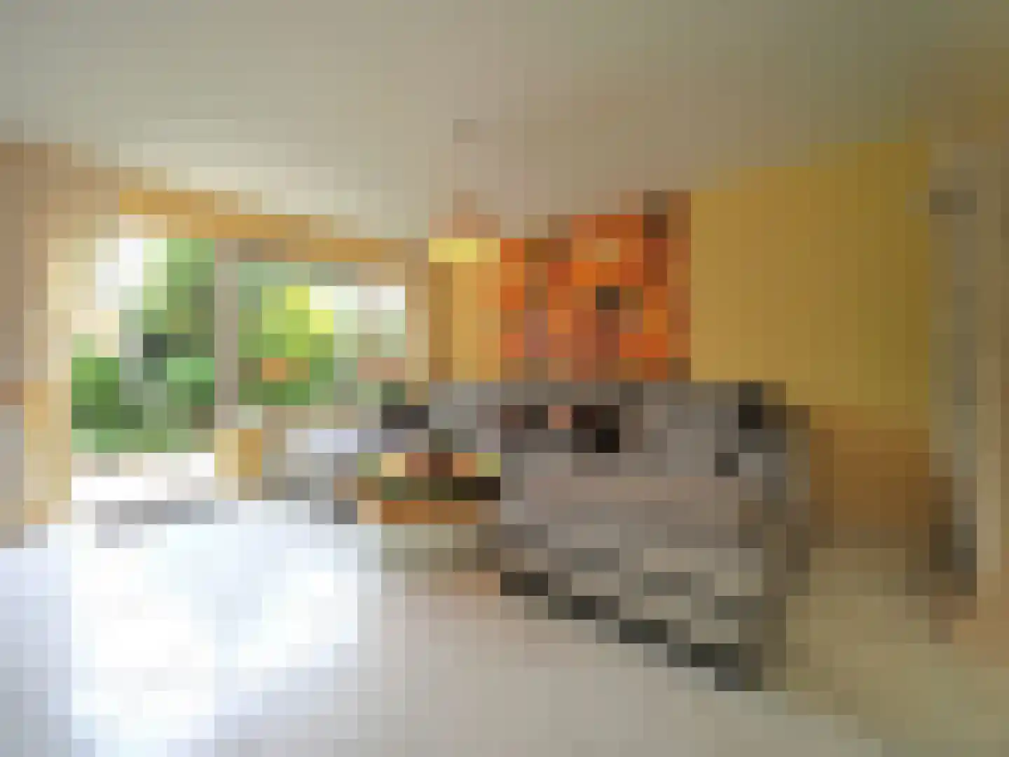 Dorstense aak 30 Papendrecht thumbnail 10