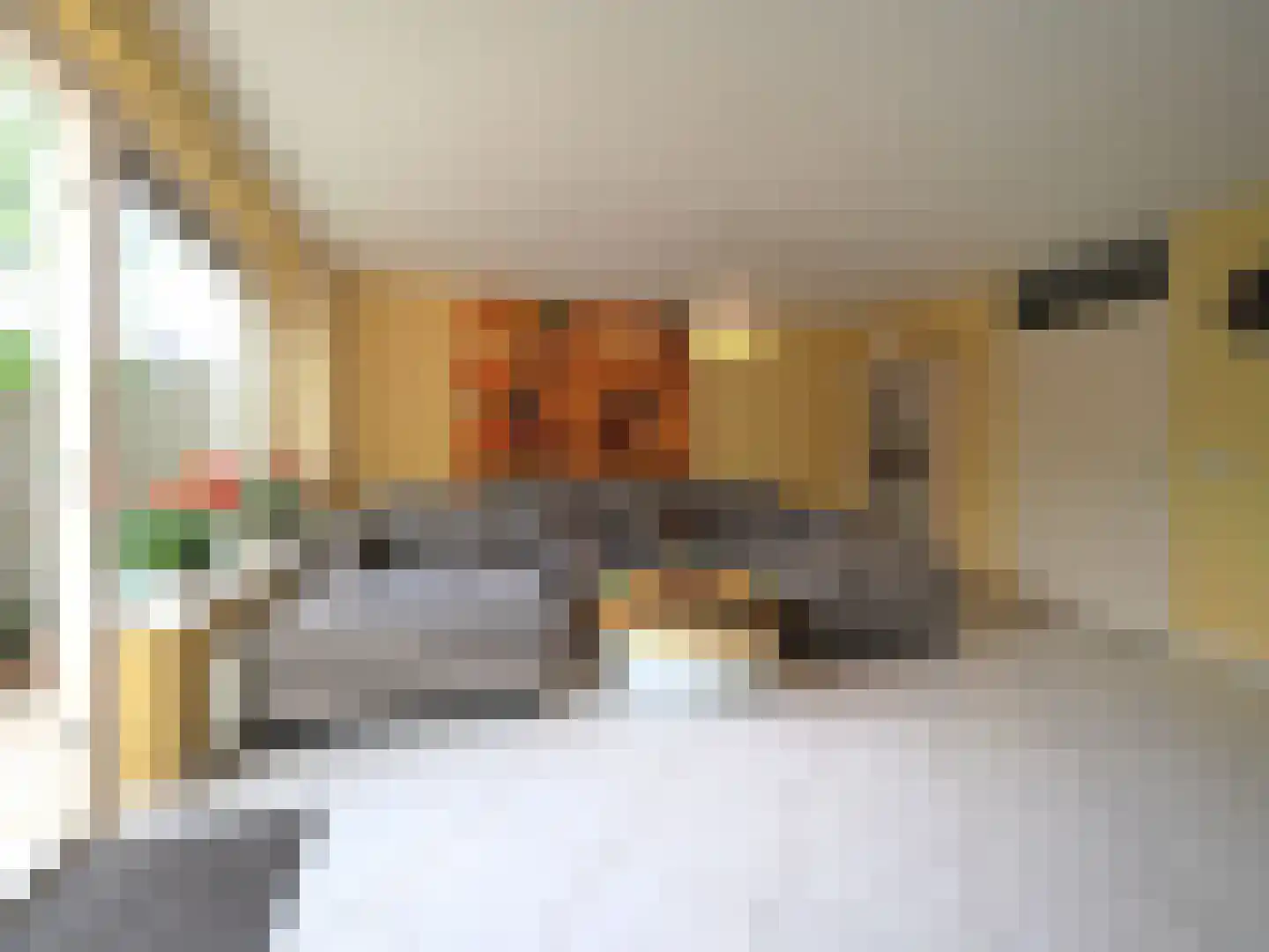 Dorstense aak 30 Papendrecht thumbnail 11