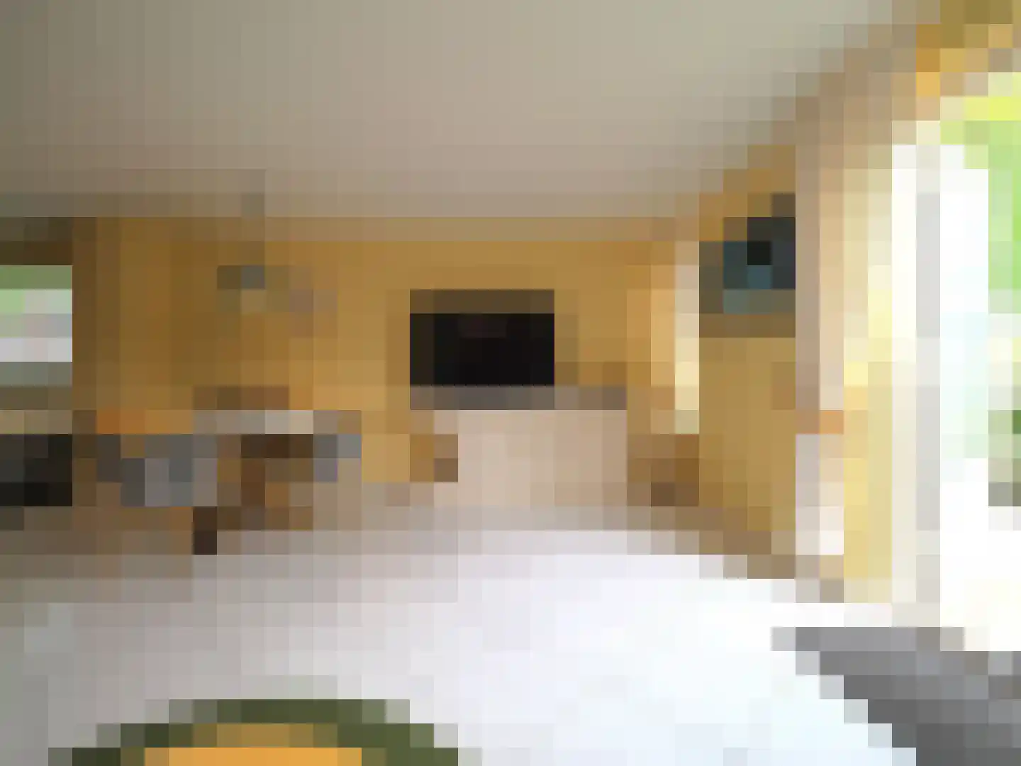 Dorstense aak 30 Papendrecht thumbnail 12