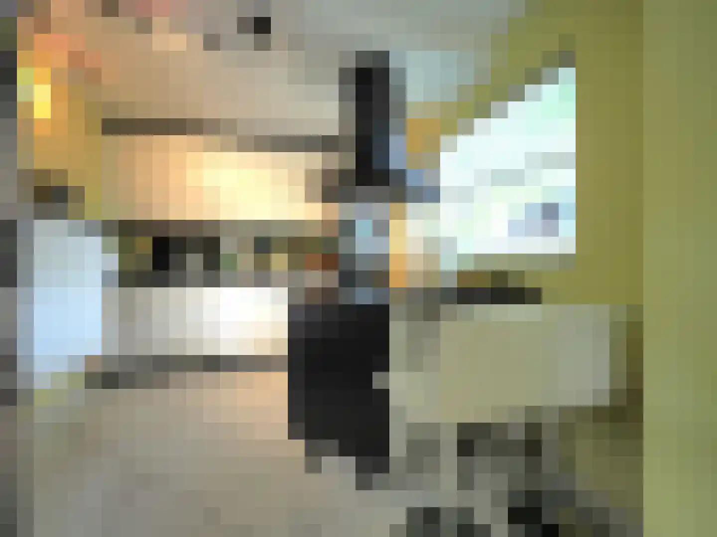 Dorstense aak 30 Papendrecht thumbnail 15