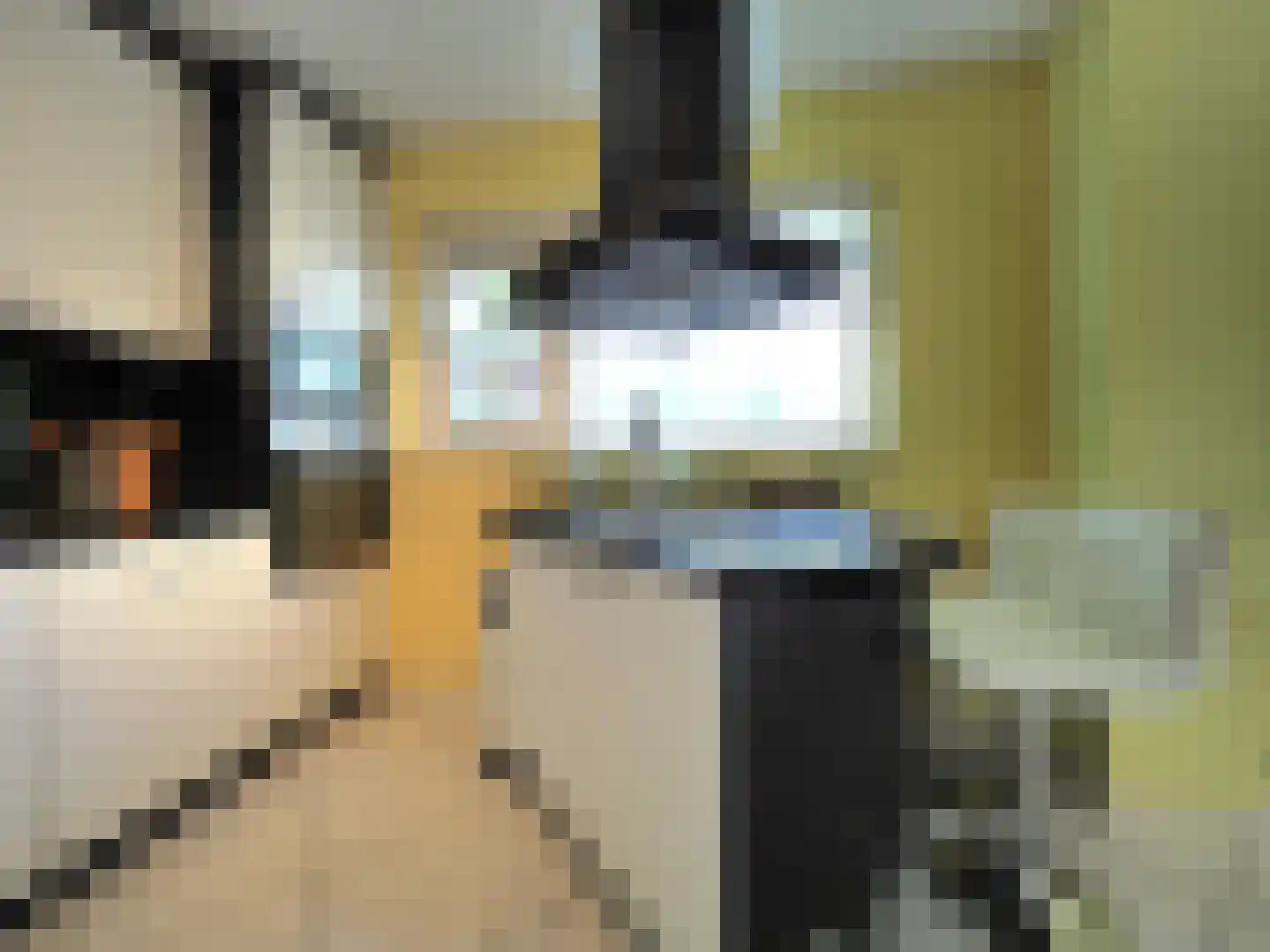 Dorstense aak 30 Papendrecht thumbnail 17