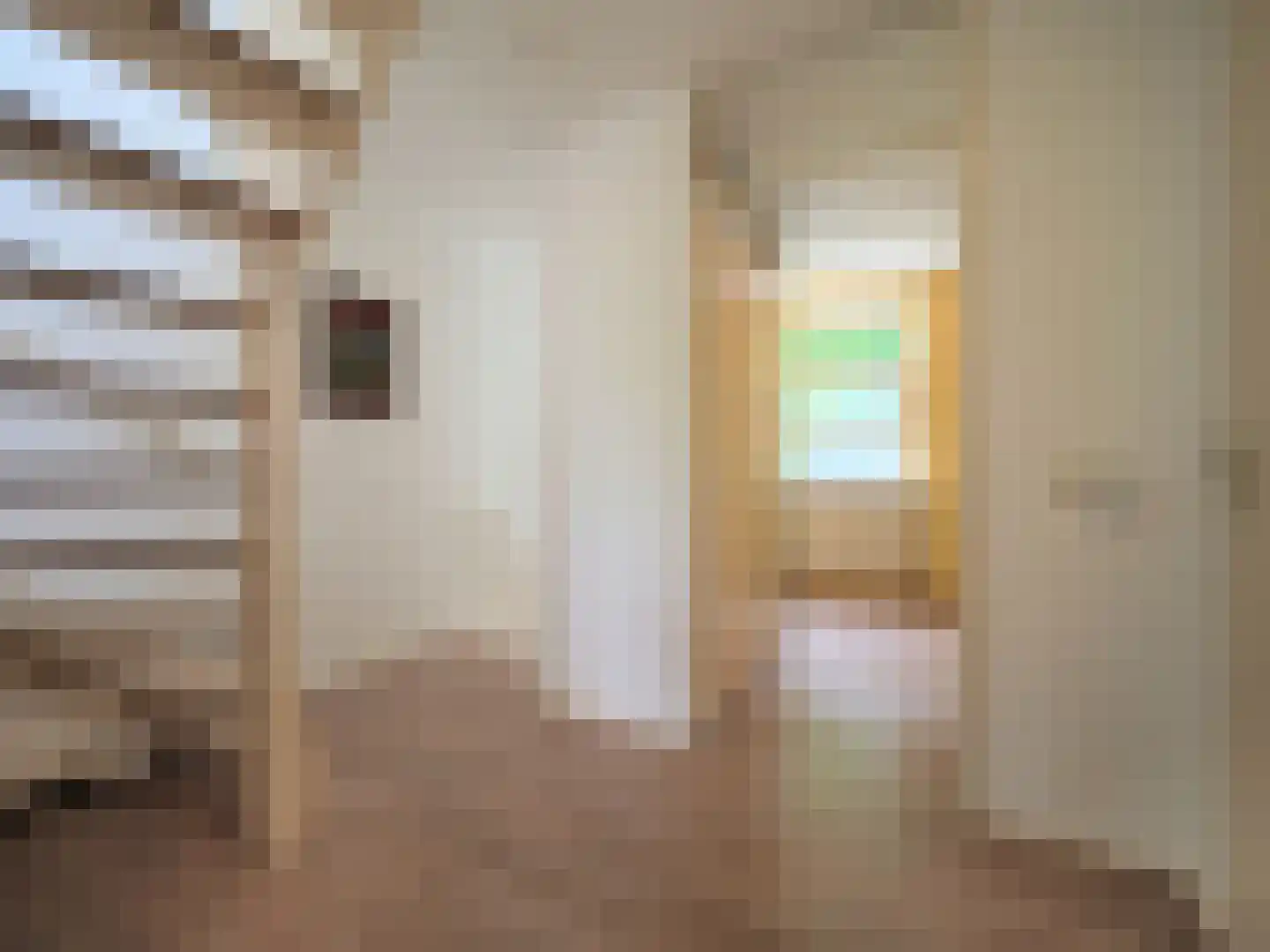 Dorstense aak 30 Papendrecht thumbnail 19