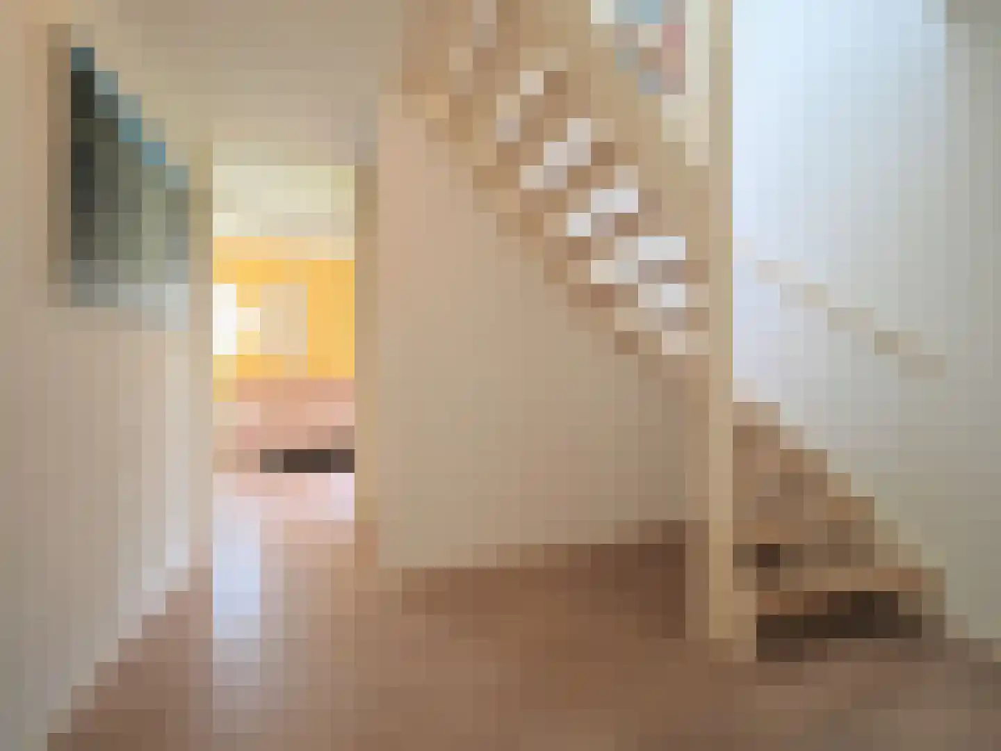 Dorstense aak 30 Papendrecht thumbnail 20